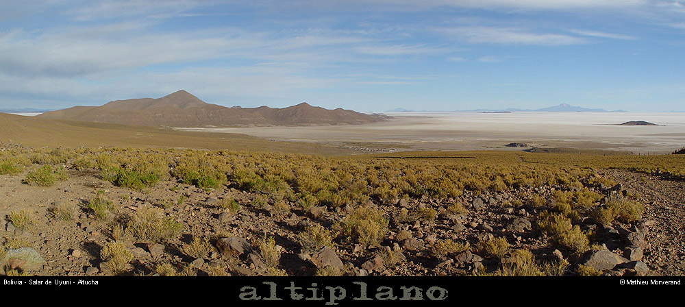 026_03_coatulchapano