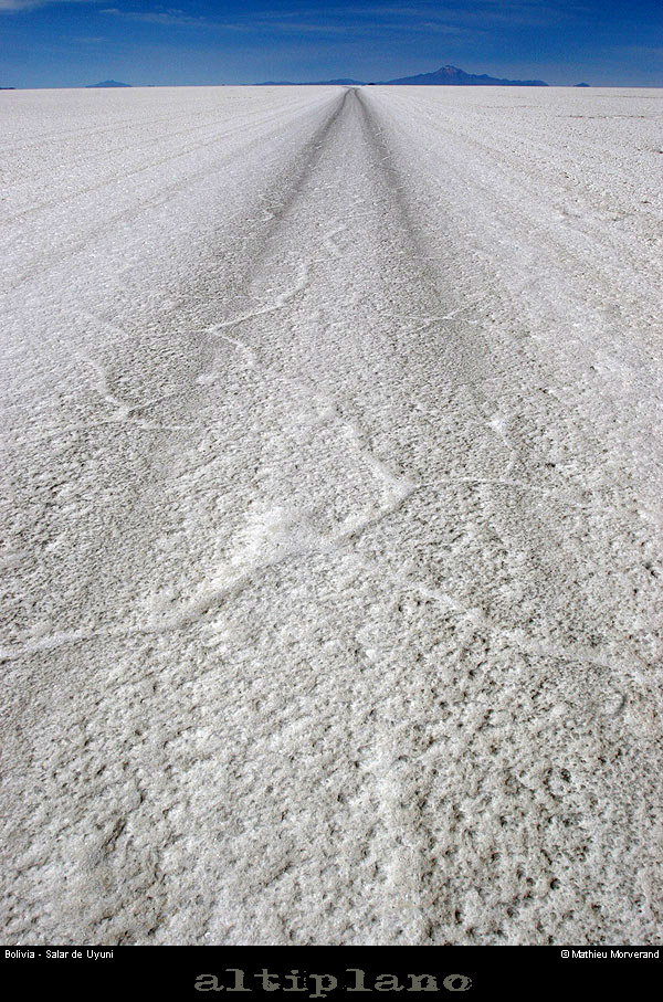 027_12_salaruyuni