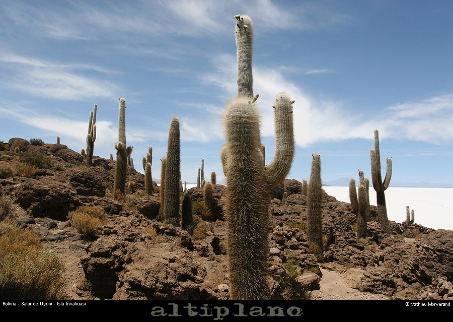 028_04_incahuasi