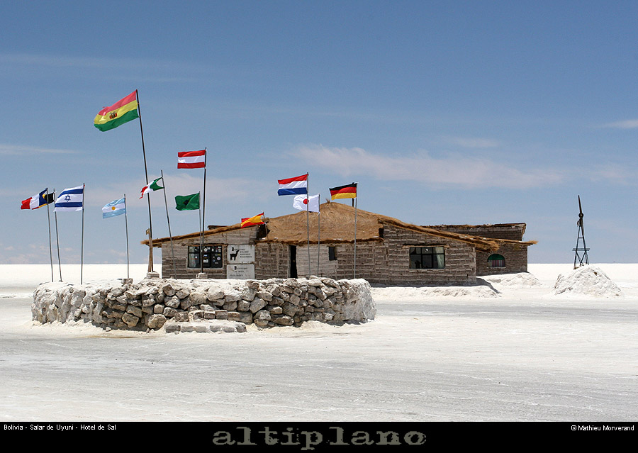 029_04_salaruyuni