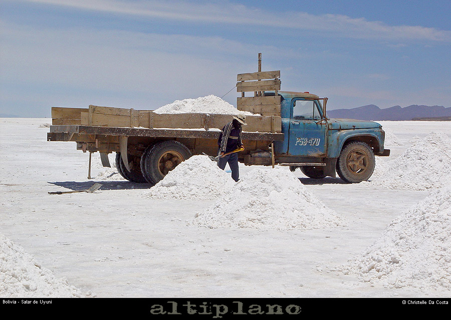 029_06_salaruyuni
