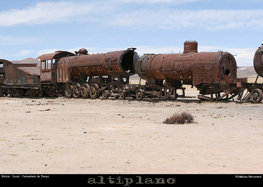 031_02_uyunitrain