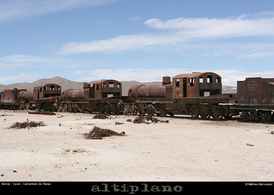 031_04_uyunitrain