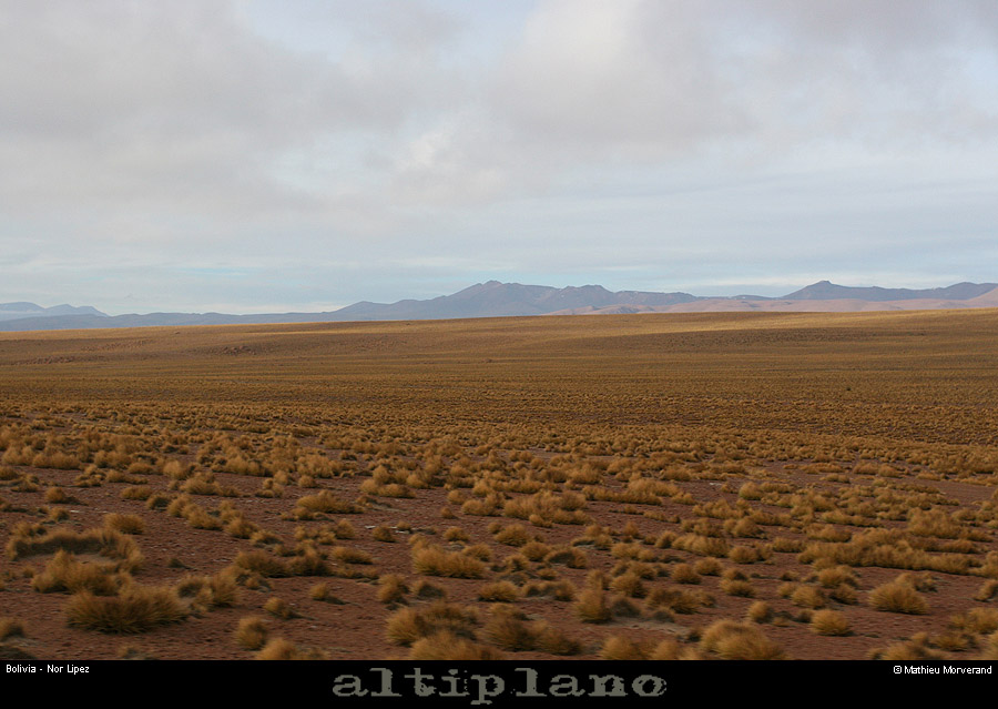 035_06_lipez