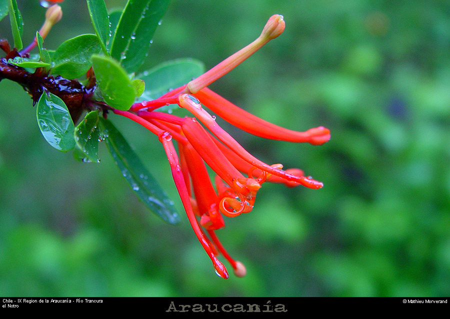 040_04_riotrancuranotro