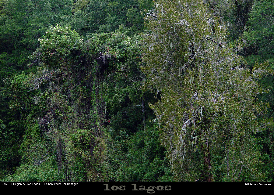 042_01_eldesague