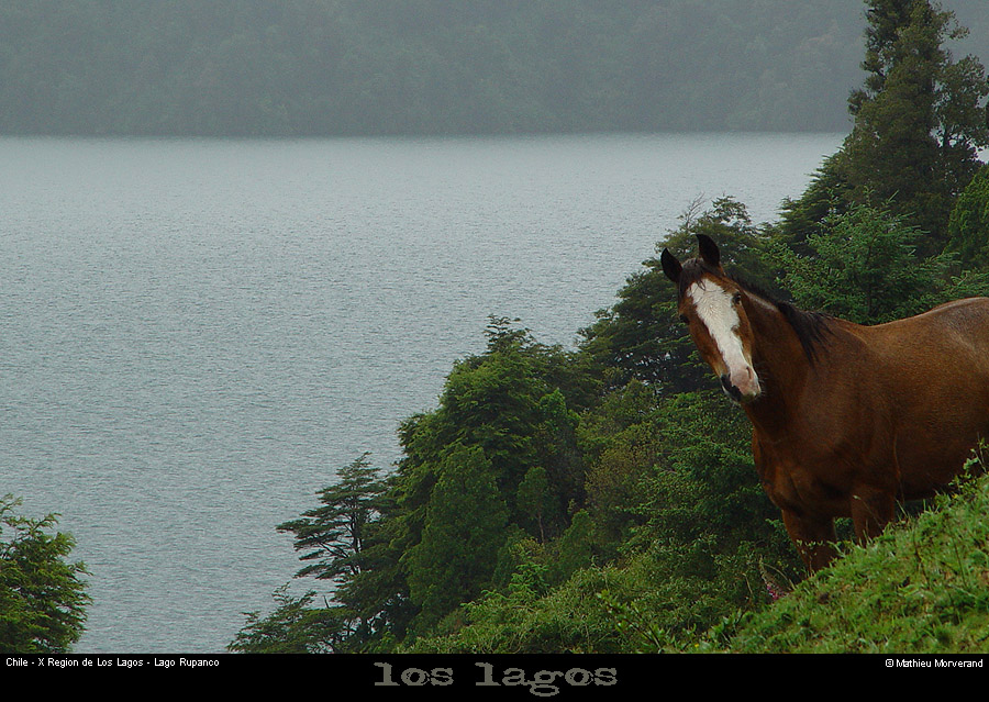 046_08_lagorupanco