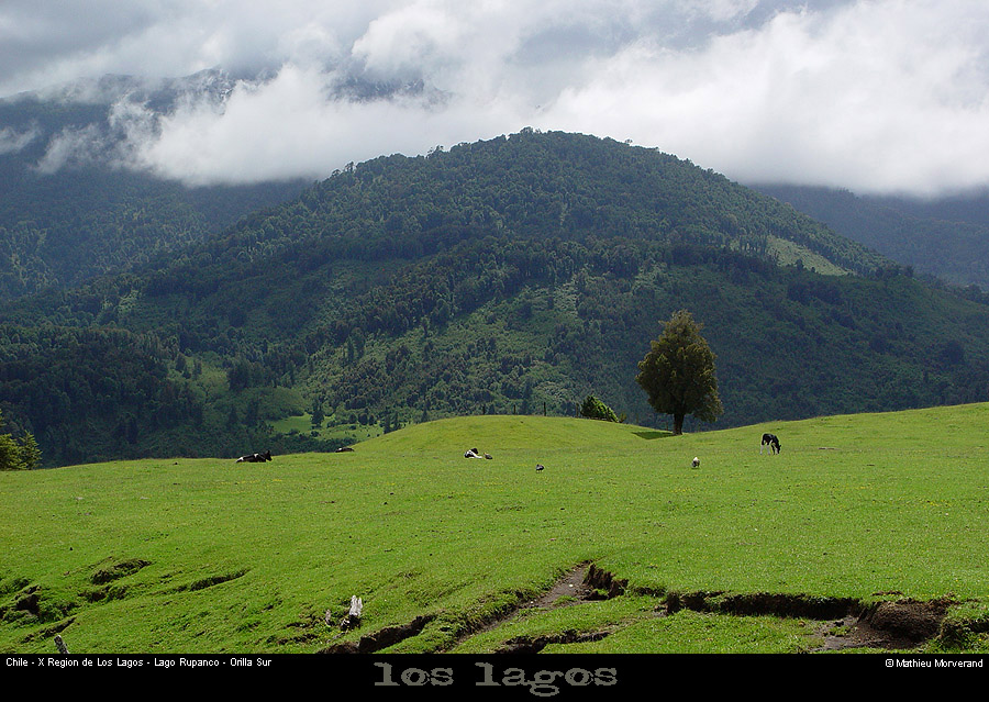 046_13_lagorupancolscp