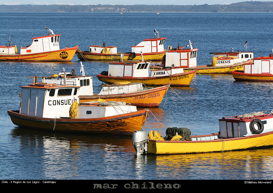 070_03_carelmapu