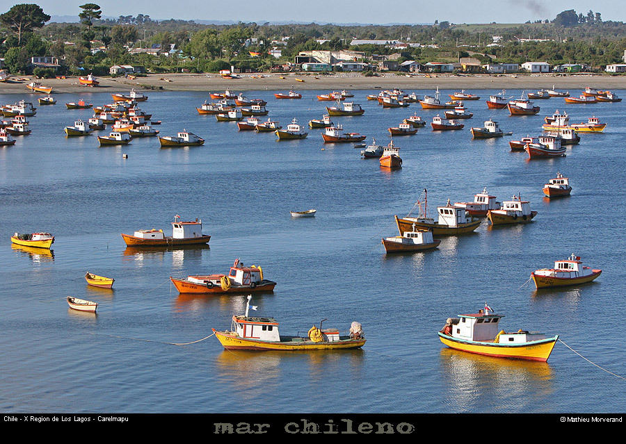070_05_carelmapu
