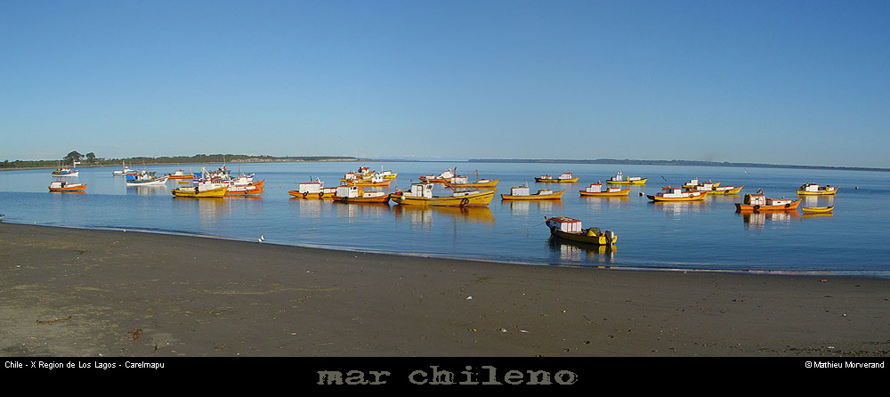070_08_carelmapupano