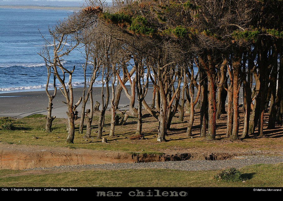 071_01_bahiacarelmapu