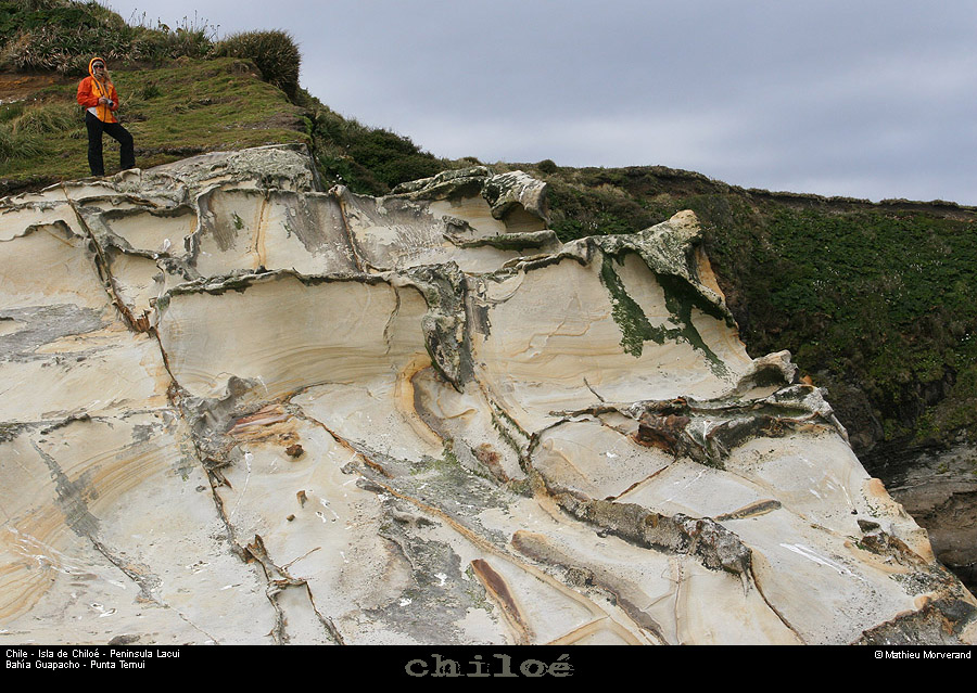 078_23_huapilacuypte