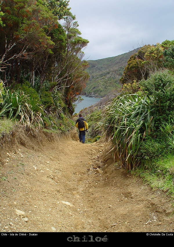 079_38_duataoway