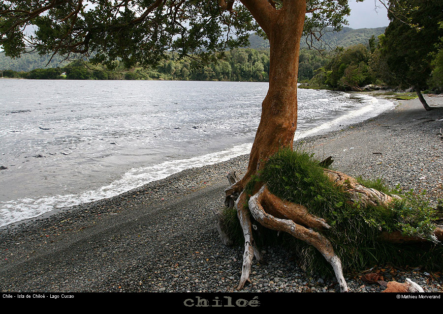 082_03_lagocucao