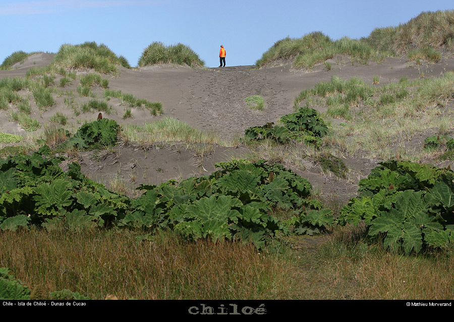 084_05_cucaodunes