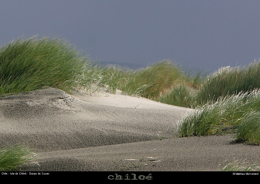 084_06_cucaodunes