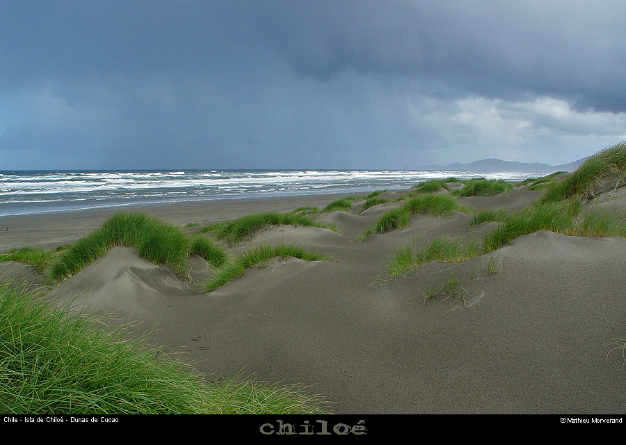 084_08_cucaodunes