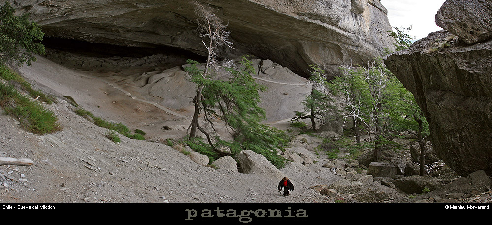 094_08_cdmilodonpano