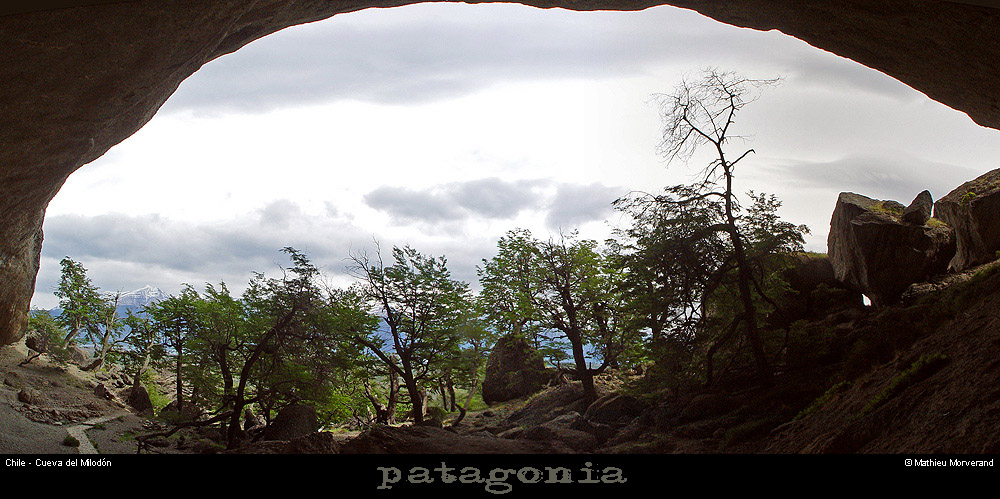 094_12_cdmilodonpano