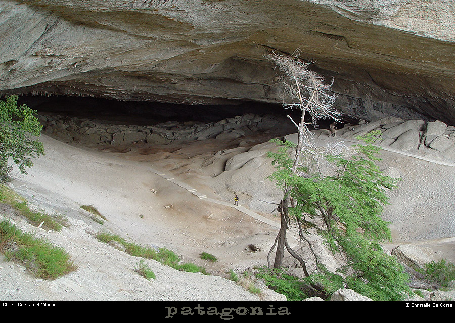 094_14_cdmilodon