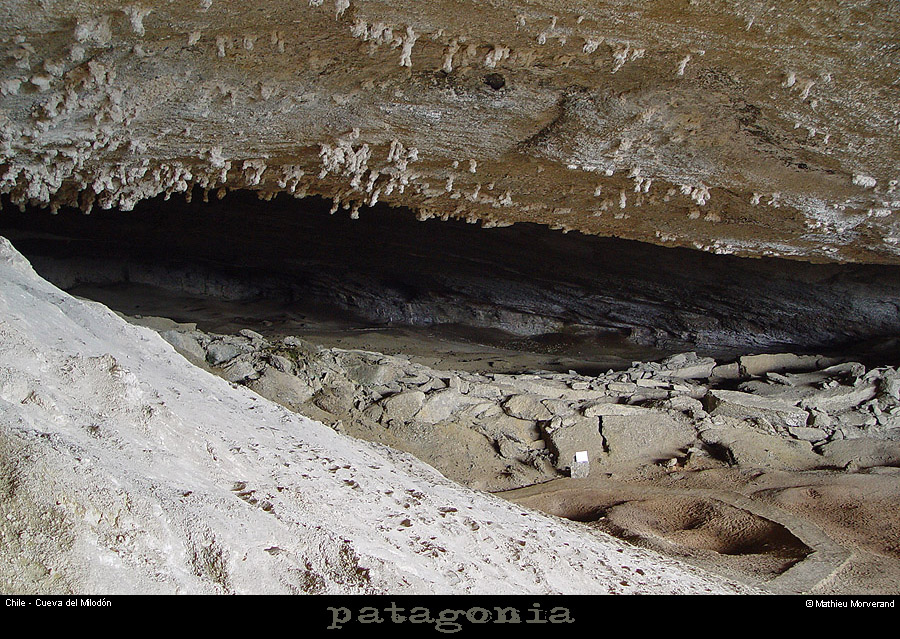 094_15_cdmilodon