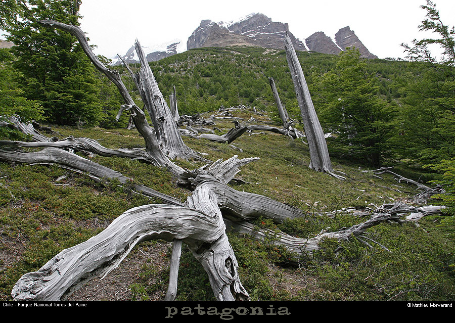 113_02_valleeascensio