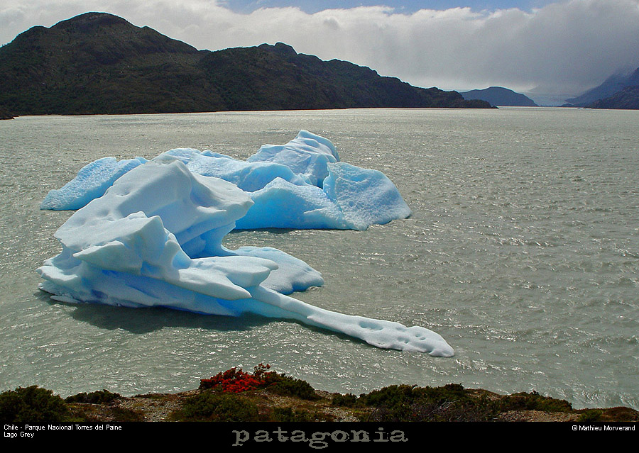 141_01_lagogrey
