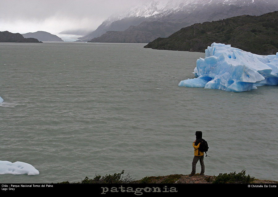 141_08_lagogrey