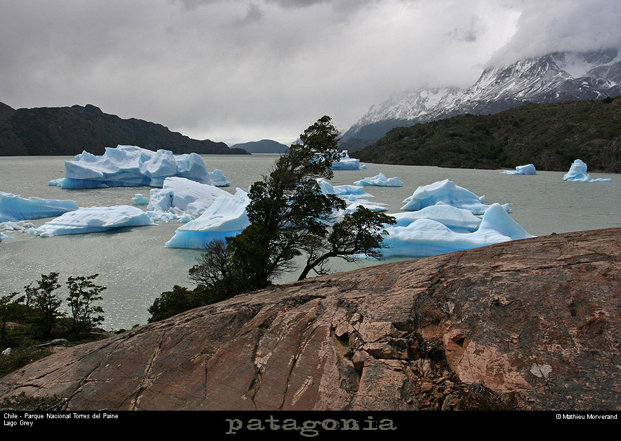 141_09_lagogrey
