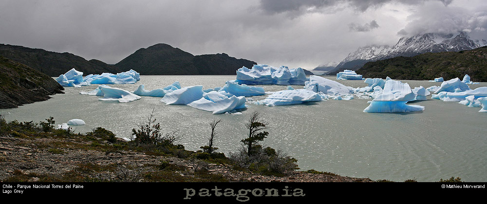 142_03_lagogreypano