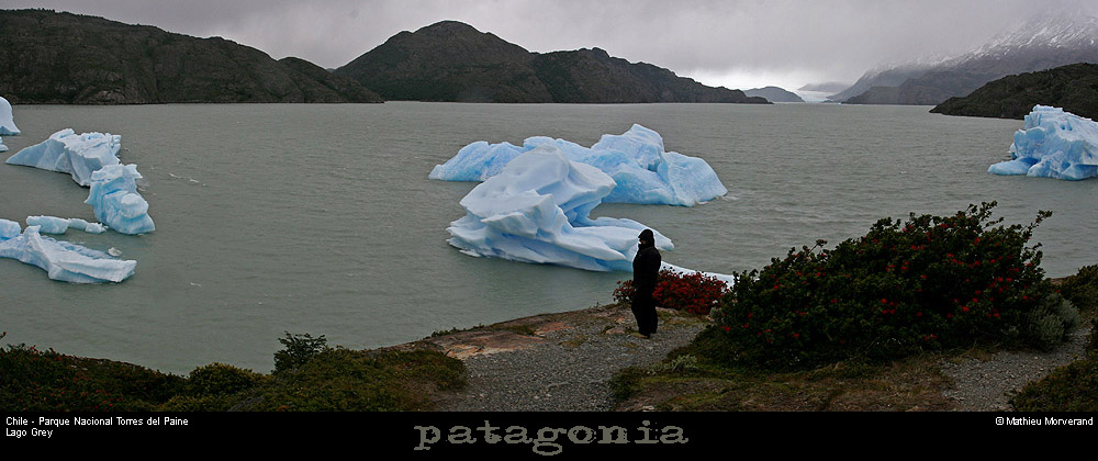 142_05_lagogreypano