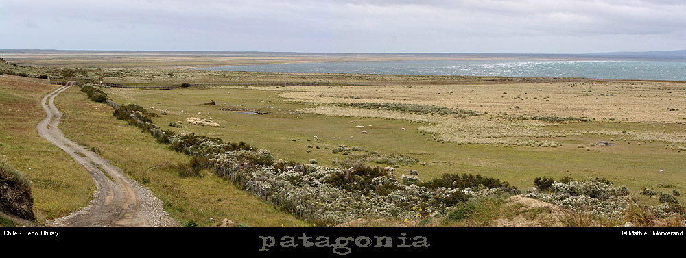 143_04_senootwaypano