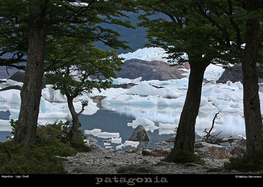149_12_lagoonelli