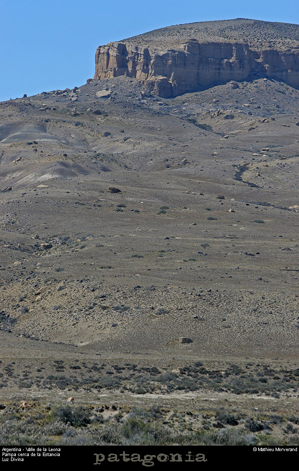 159_21_valleeleona