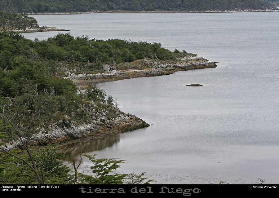 176_17_parctdf