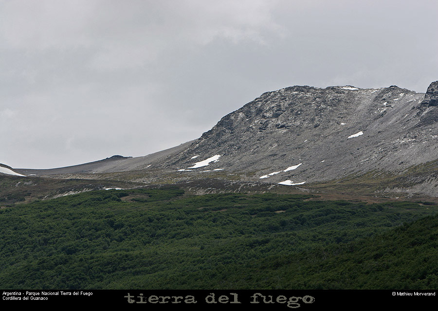 176_29_parctdf