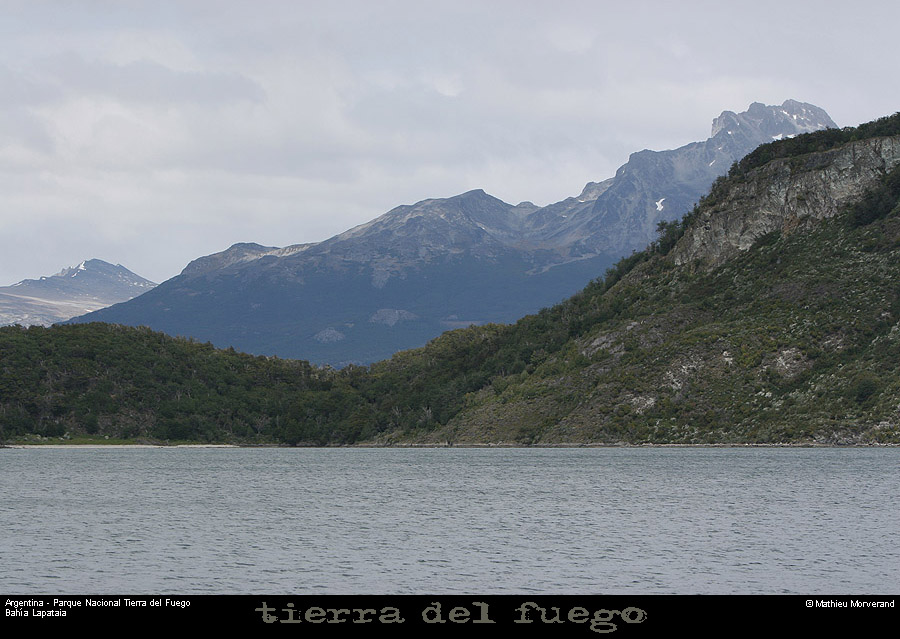 176_38_parctdf