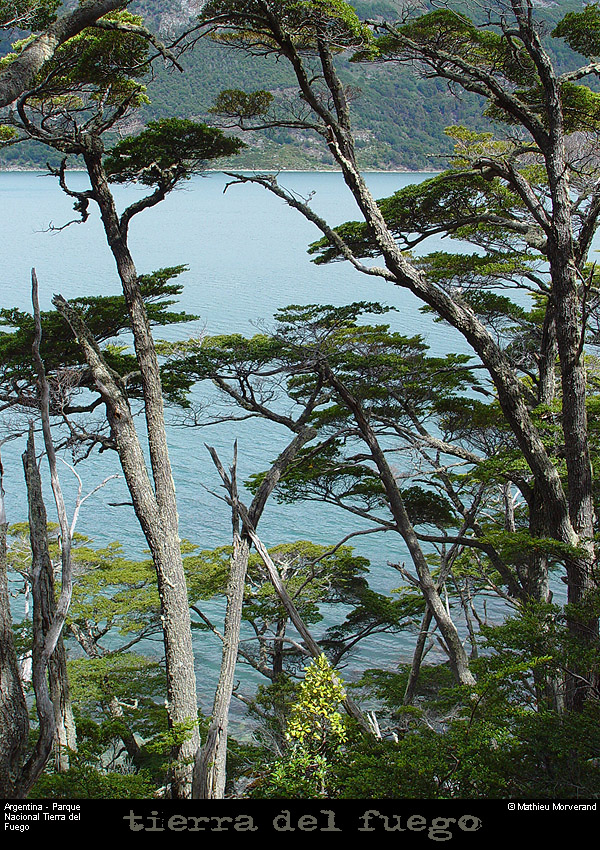 176_39_parctdf