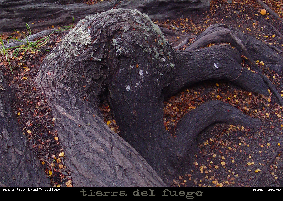 176_48_parctdf