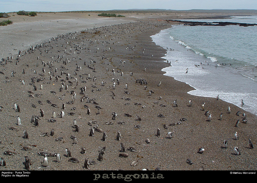 183_06_puntatombo