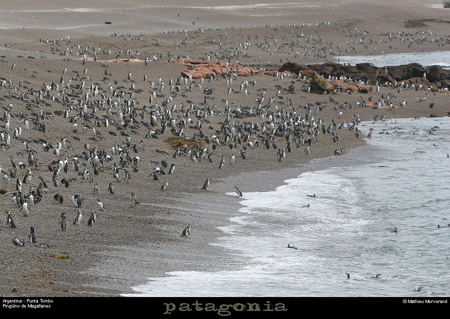 183_07_puntatombo