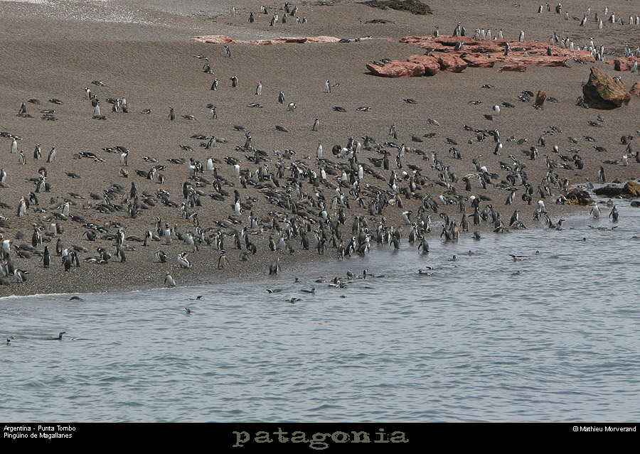 183_08_puntatombo