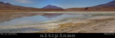 018_02_lagunahediondapano
