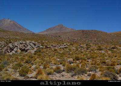 020_02_lipez