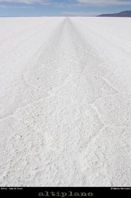 027_11_salaruyuni