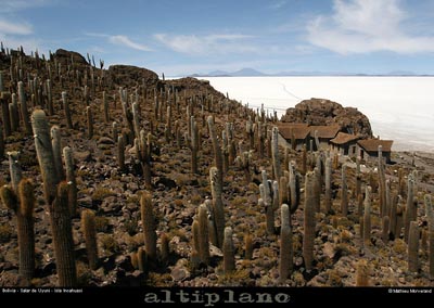 028_03_incahuasi