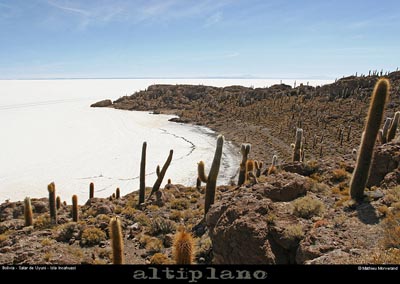 028_09_incahuasi