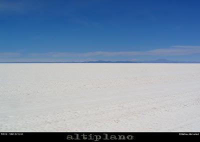 029_03_salaruyuni