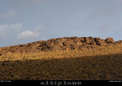 035_04_lipez